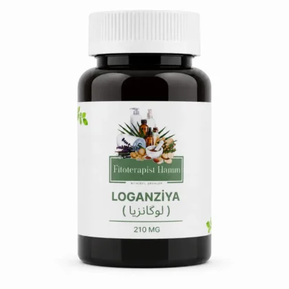 LOGANZİYA