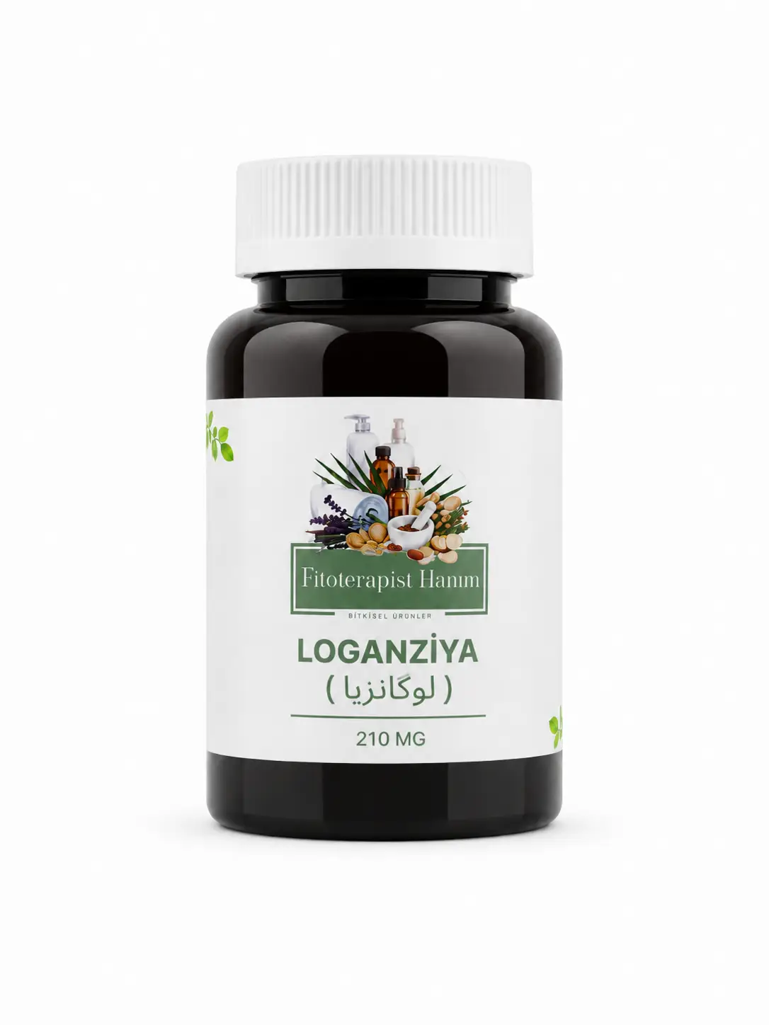 LOGANZİYA