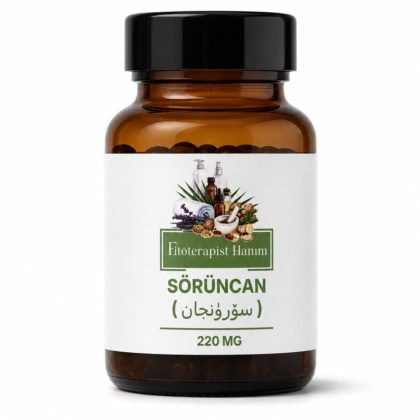 Sörüncan