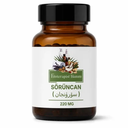 SÖRÜNCAN